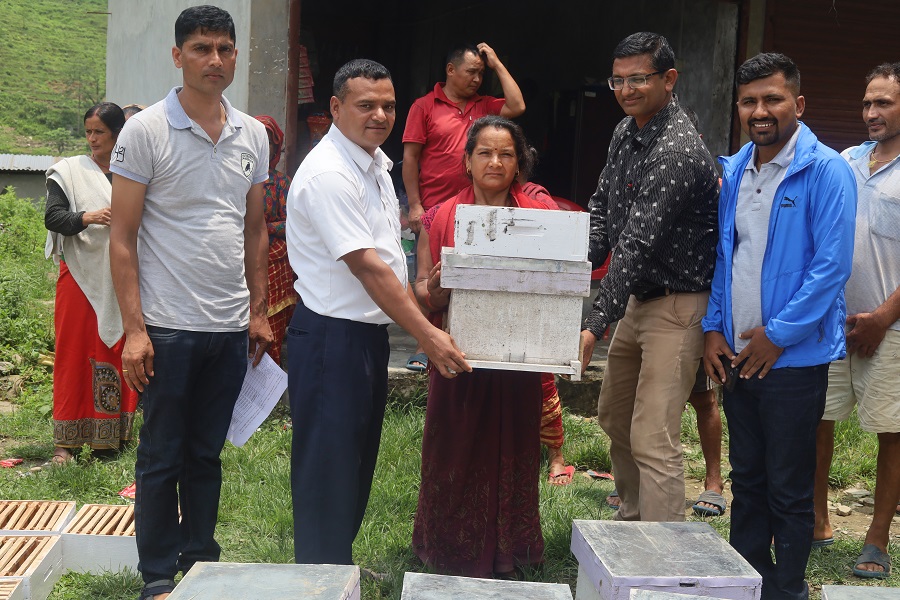 मध्य नेपाल नगरपालिका ६ लामासोतिमा मौरी सहित घार बितरण