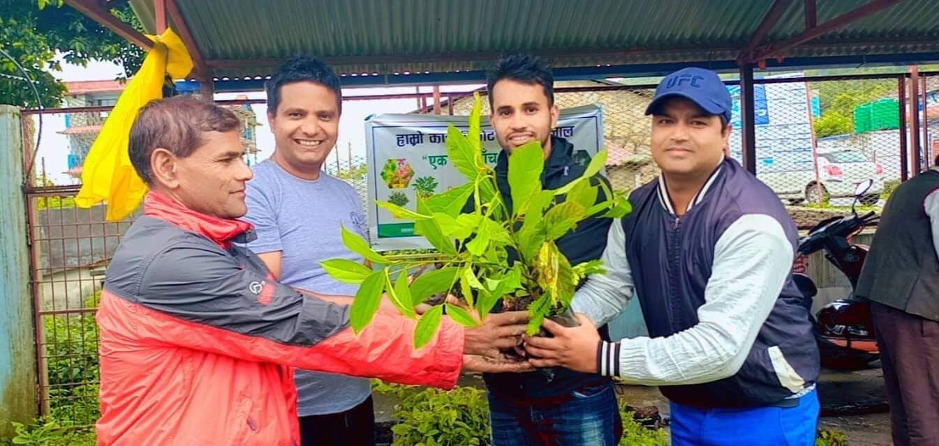 कास्कीकोटमा एक घरः पाँच जडिबुटी अभियान