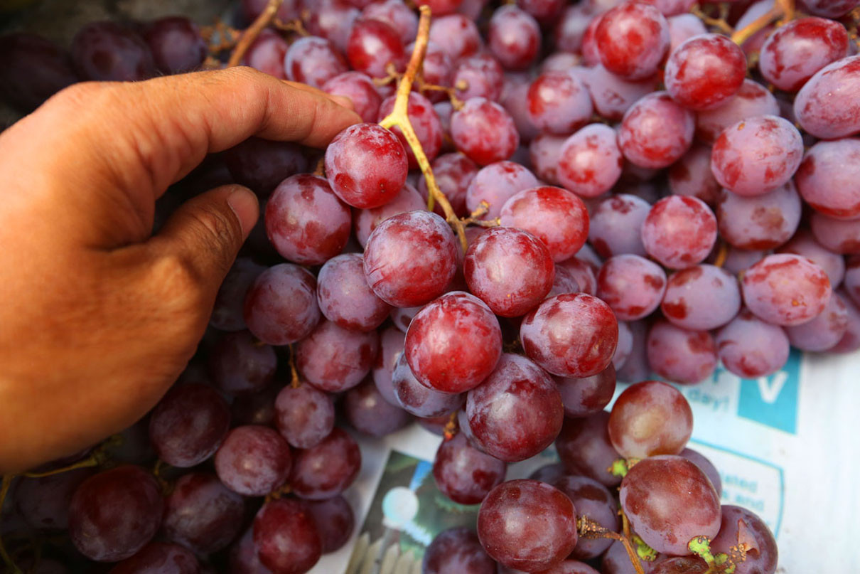 7 Khasiat Anggur yang Ampuh Lindungi Tubuh dari Penyakit Ganas Ini