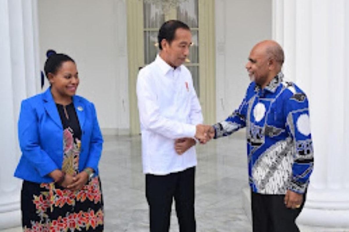 Deinas Geley Minta Arahan Jokowi Untuk Pembangunan Papua Tengah