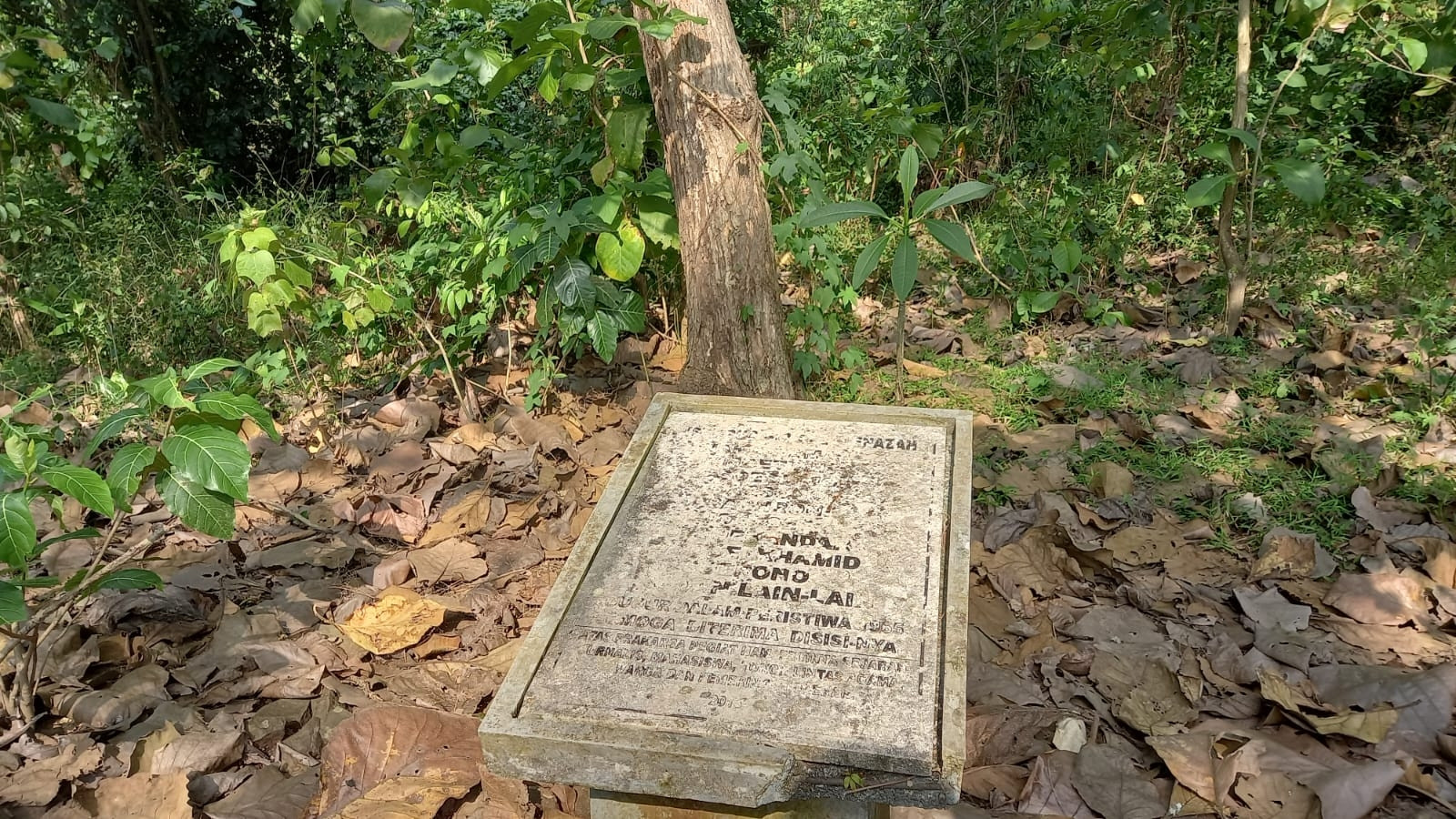 Kuburan Massal Hutan Plumbon, Saksi Bisu Tempat Mengeksekusi Mereka yang Dianggap PKI