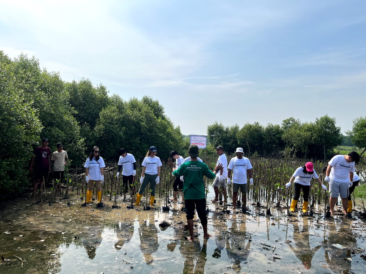 Rayakan Hari Keanekaragaman Hayati, PT Aplus Pacific Tanam 1.000 Mangrove