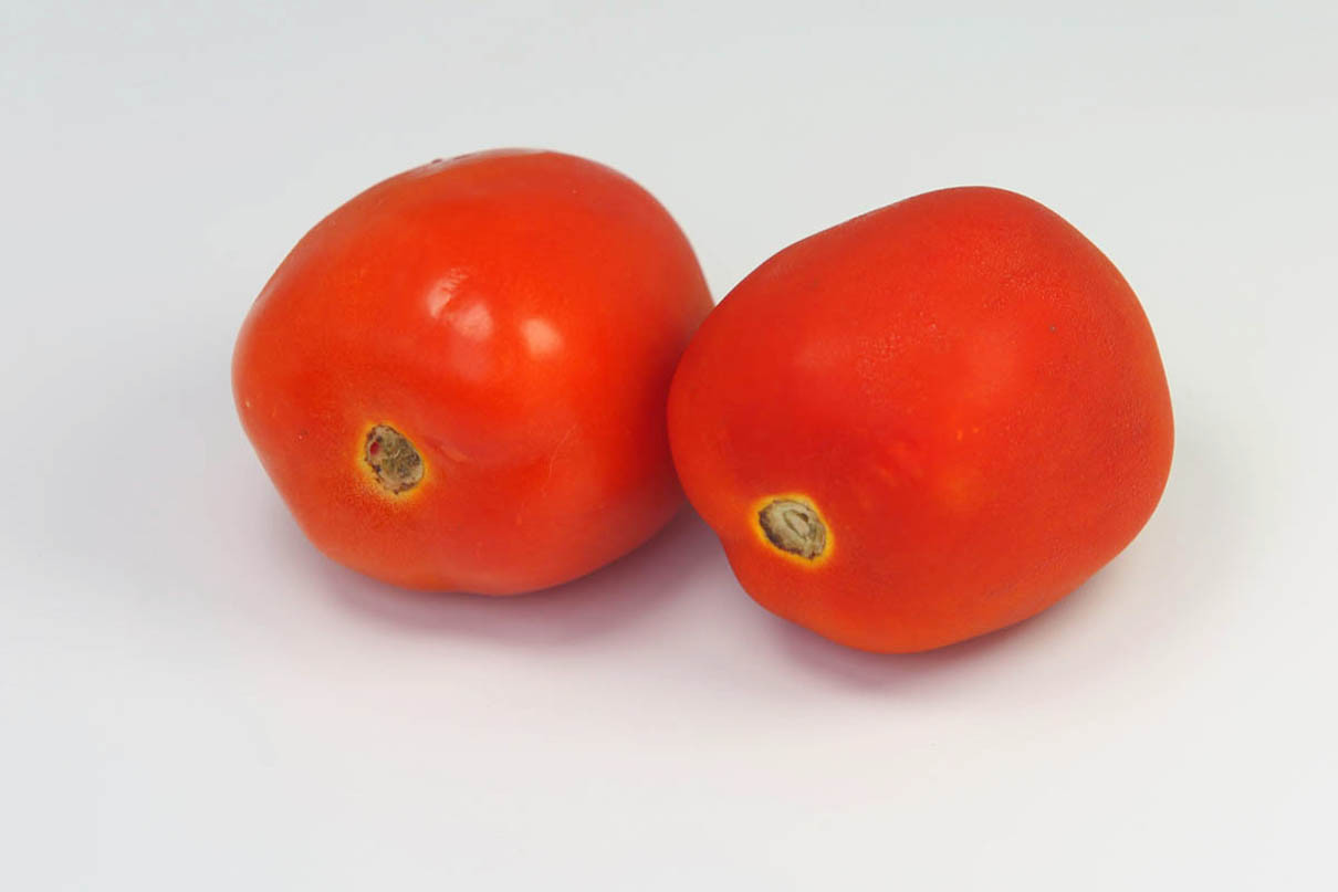 5 Khasiat Tomat, Bikin Penyakit Ini Enggan Mendekat