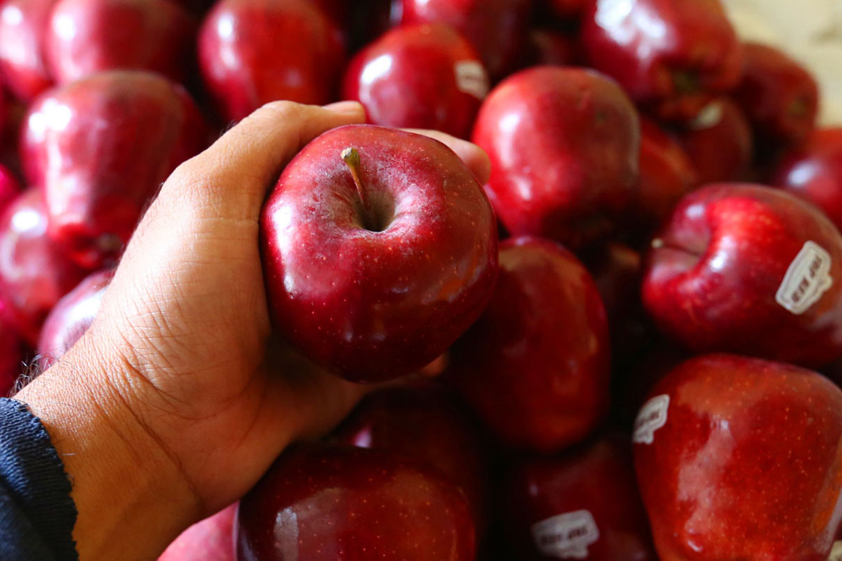 6 Khasiat Makan Apel Setiap Hari, Bikin Deretan Penyakit Ini Ogah Mendekat