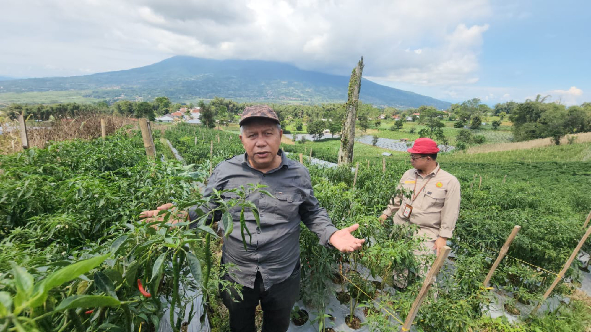 Gandeng Unas, Kementan Kembangkan Kampung Hortikultura Ramah Lingkungan di Sukabumi