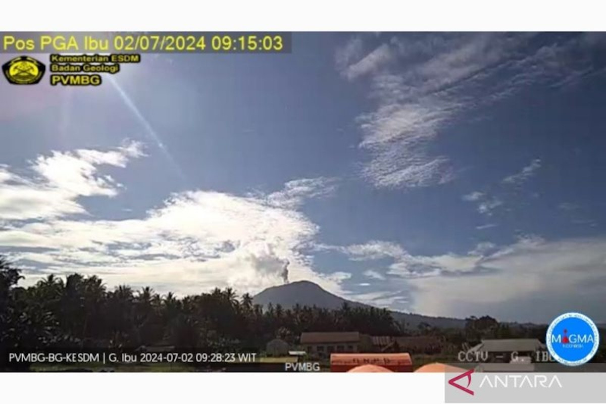 Gunung Ibu Erupsi, Muntahkan Abu Vulkanik 600 Meter