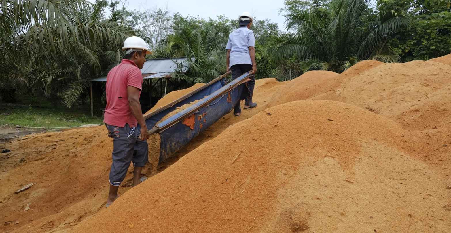 PLTU Ombilin Manfaatkan Limbah Serbuk Kayu Untuk Gantikan Batu Bara, Perekonomian Masyarakat Meningkat