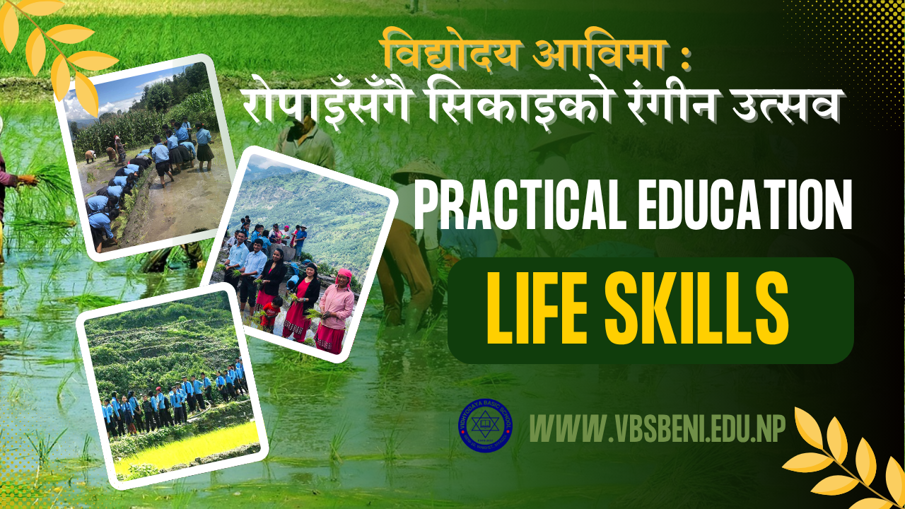 विद्योदय आविमा : रोपाइँसँगै सिकाइको रंगीन उत्सव (फाेटाे फिचर)